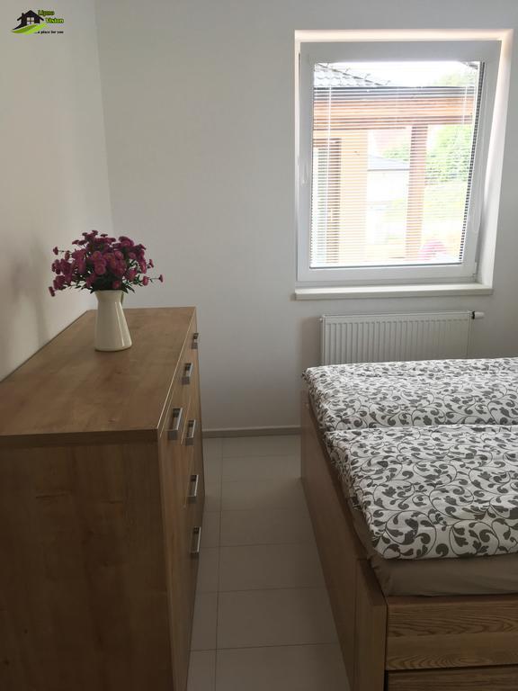 ליפנו נאד וויטאבו Lipno Vision Apartments מראה חיצוני תמונה